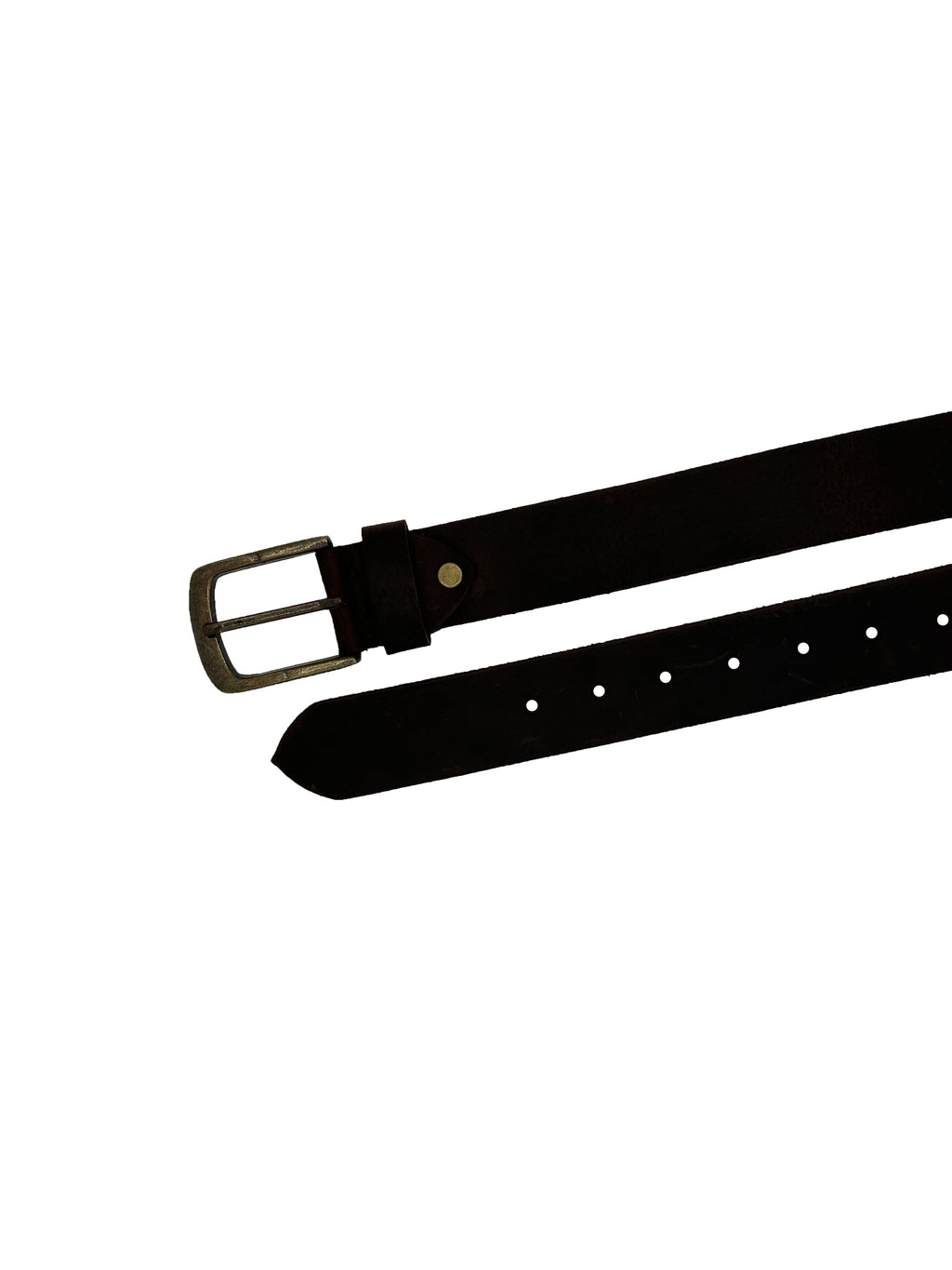 Male Leather Belt with Coordinated Brass Hardware